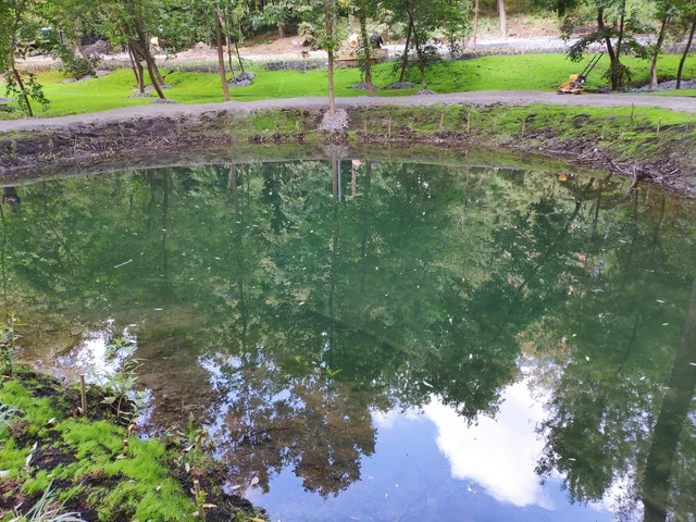 IMG-20190803-125649.webp