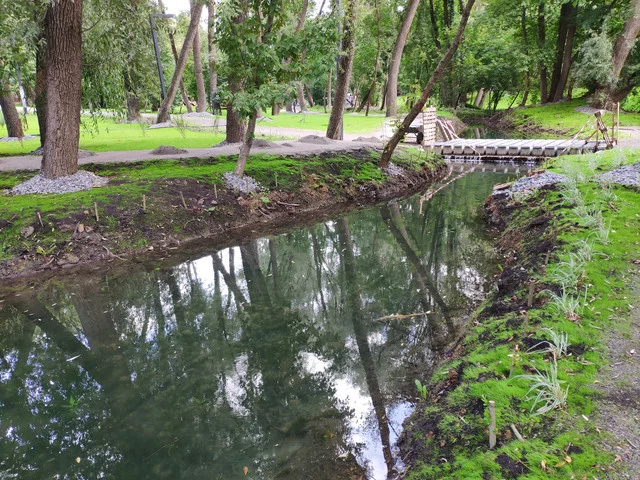 IMG-20190803-125653.webp