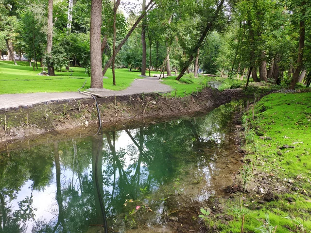 IMG-20190803-125729.webp
