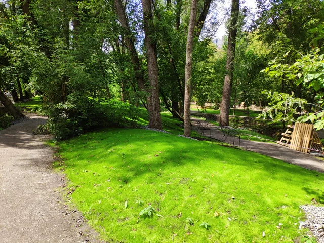 IMG-20190803-125838.webp