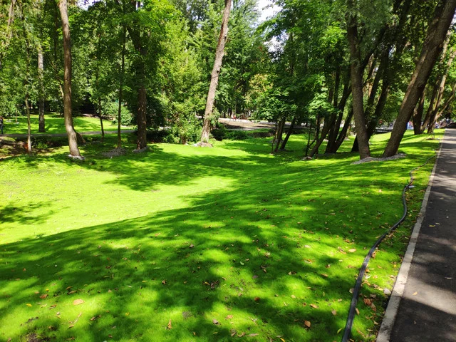 IMG-20190803-125957.webp