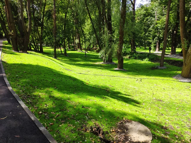 IMG-20190803-130116.webp