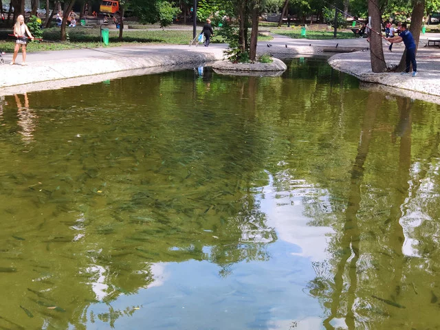 IMG-20190803-130312-1.webp