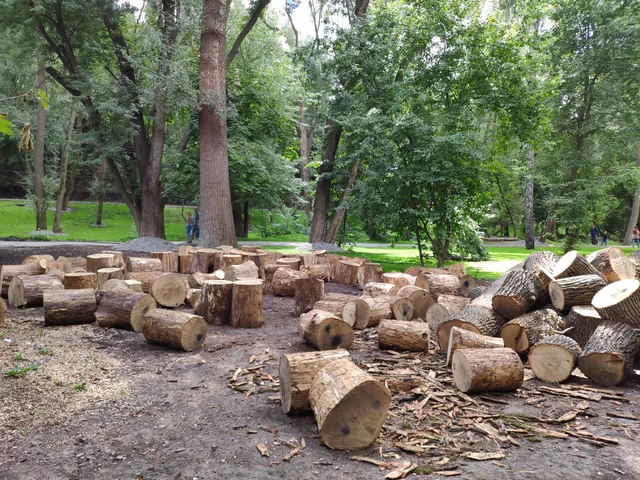 IMG-20190803-130724.webp