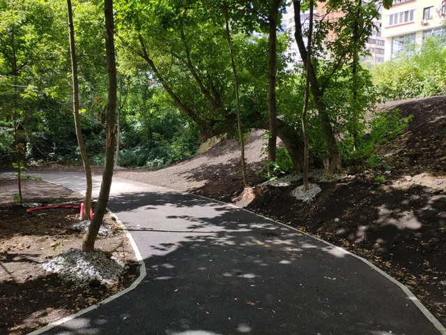 IMG-20190803-131146.webp