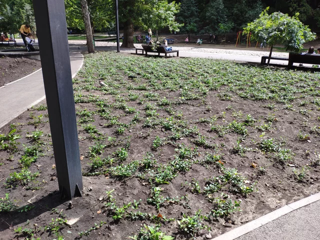 IMG-20190803-131756.webp