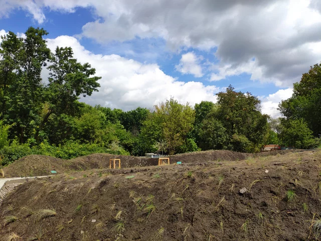 IMG-20190803-132404.webp