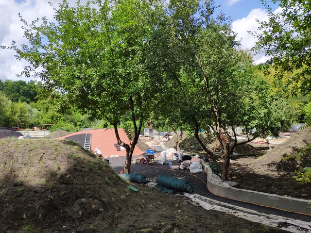 IMG-20190803-132605.webp