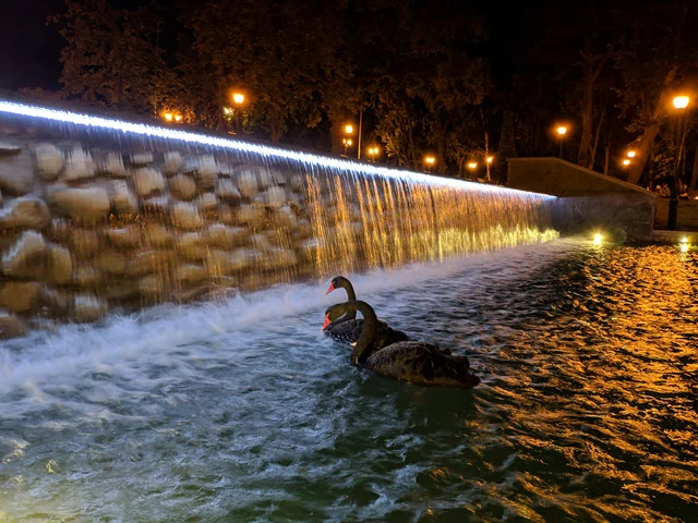 IMG-20190804-233128.webp