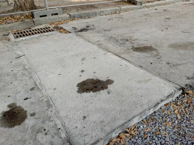 IMG-20190814-183716.webp