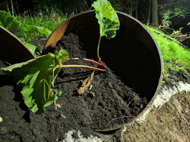 IMG-20190820-223824.webp