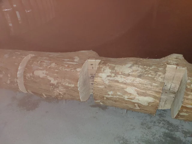 IMG-20190820-230113.webp