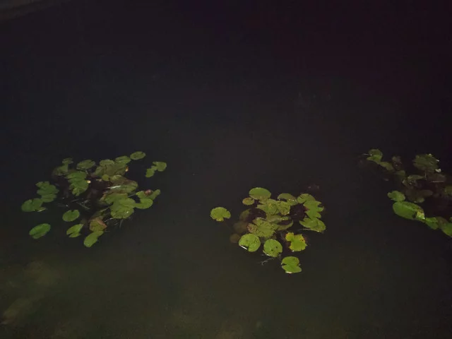 IMG-20190822-230110.webp