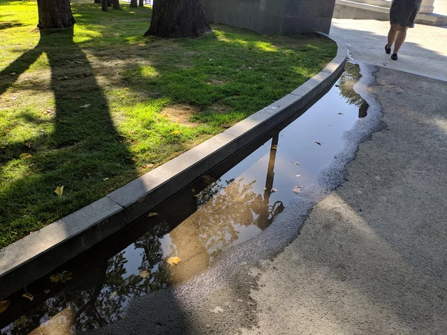 IMG-20190825-162456.webp