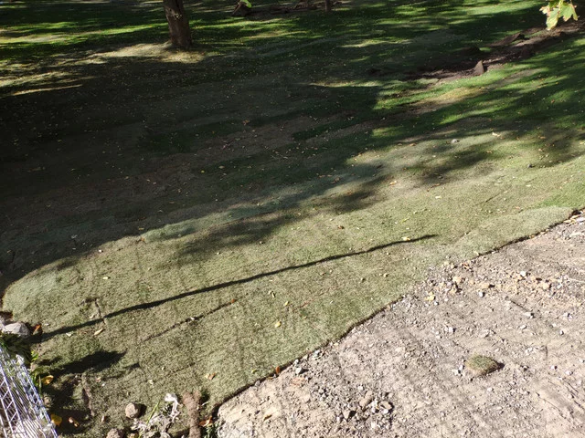 IMG-20190825-163532.webp