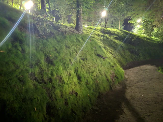 IMG-20190908-230423.webp