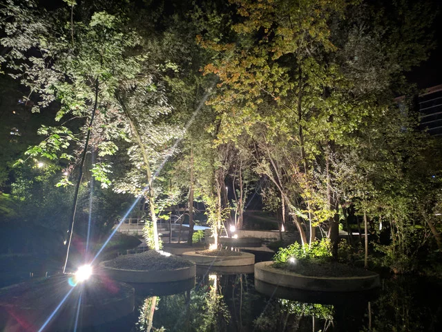 IMG-20190908-230833.webp