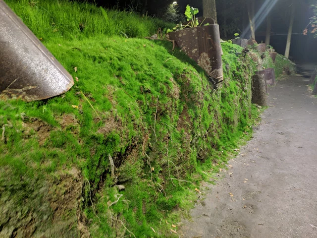 IMG-20190908-232002.webp