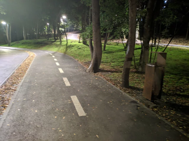IMG-20190908-232231.webp