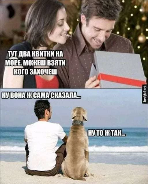 IMG-20210630-151324-560.webp