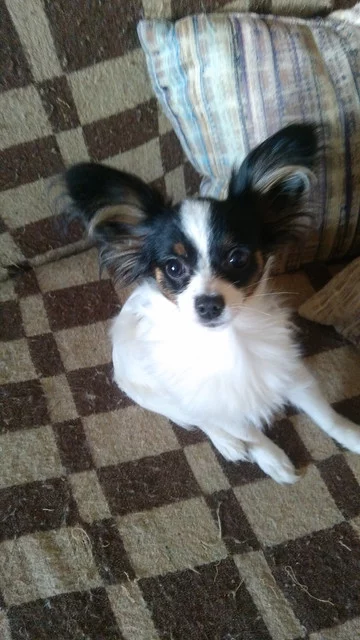 IMG-20220107-112836.webp
