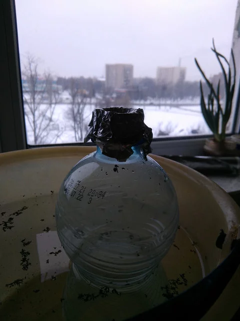 IMG-20220128-150757.webp