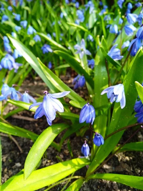 IMG-20220405-132232.webp