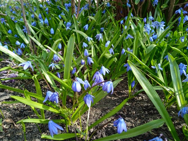 IMG-20220405-132258.jpg