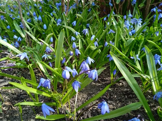 IMG-20220405-132258.webp