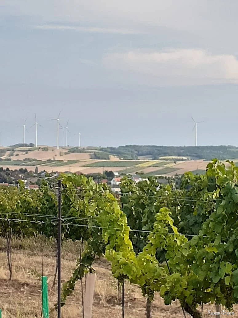IMG-20220807-WA0021.webp