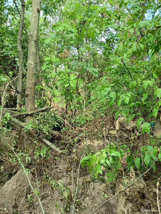 IMG-20220813-092022.webp