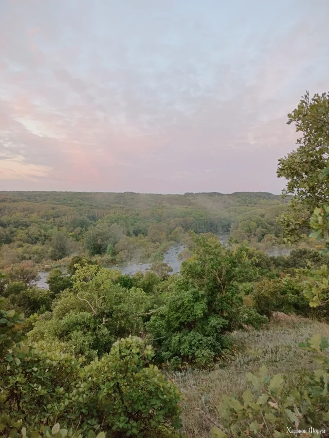 IMG-20220902-061211.webp