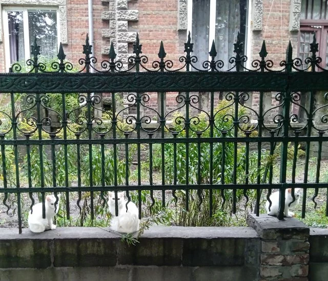 IMG-20220914-164609.webp