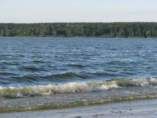 IMG-2046.webp