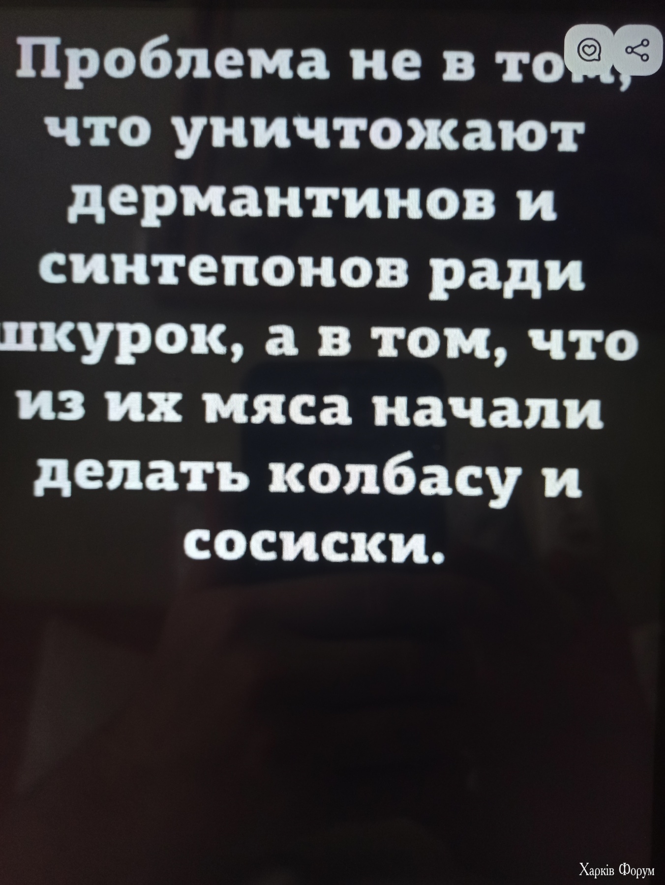 IMG-215b950baf57185ee73edb1a9ada0b14-V.jpg