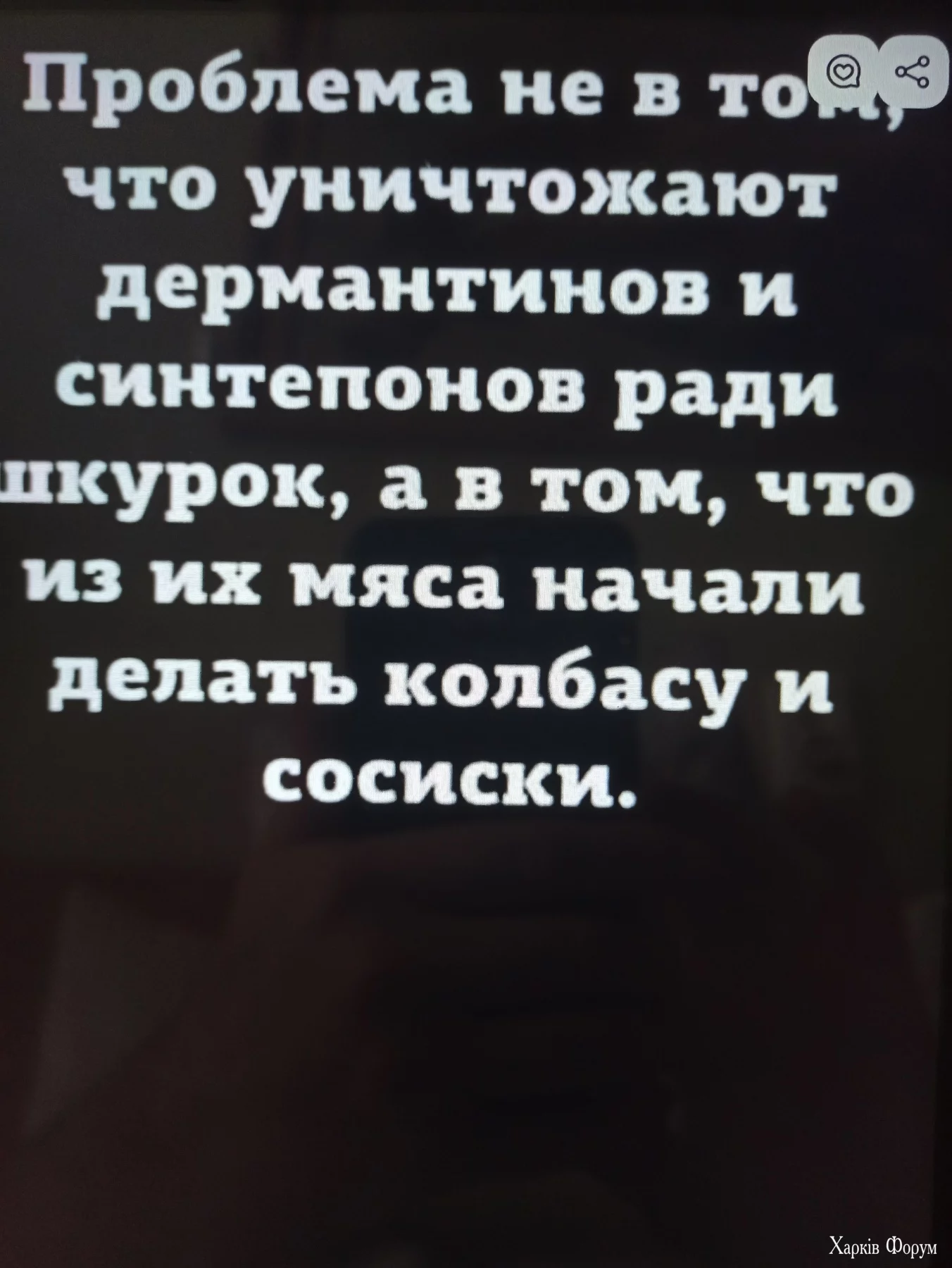 IMG-215b950baf57185ee73edb1a9ada0b14-V.webp