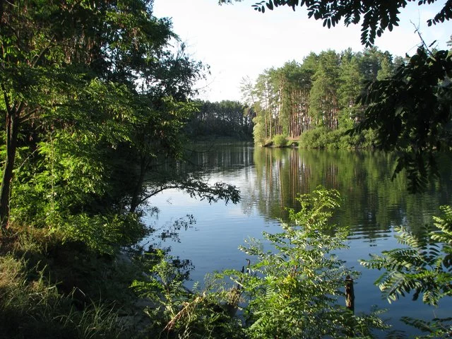 IMG-2314.webp