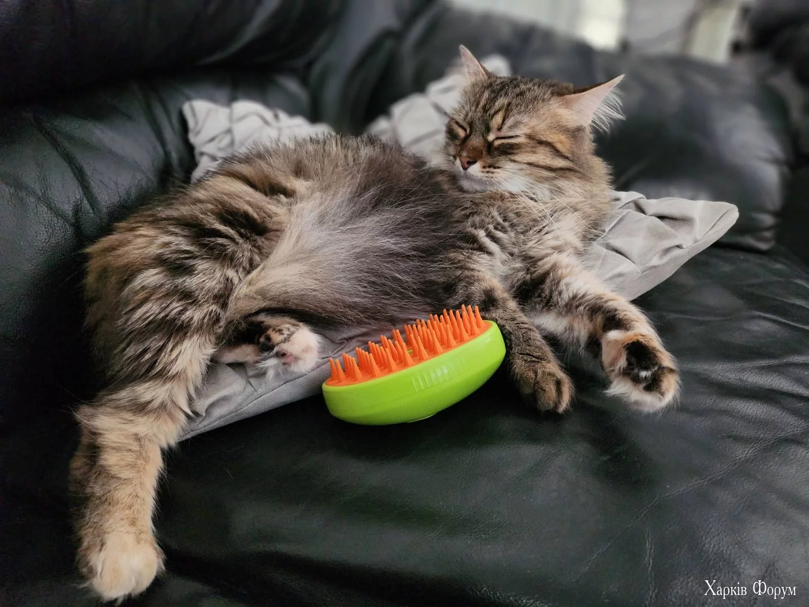IMG-2cc4b4b4f0f17b1aecb3a435d13f5ff1-V.webp