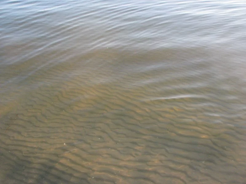 IMG-3062.webp
