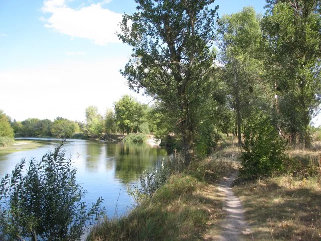 IMG-3507.webp
