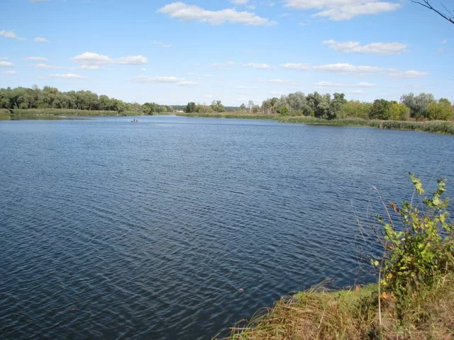 IMG-3531.webp