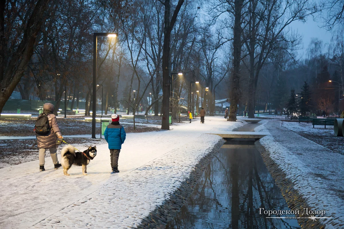 IMG-3667-1200x800-665e.webp