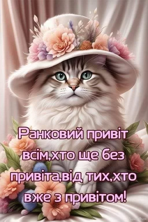 IMG-38ac87c4614e8d06c96f40b6f7dde535-V.webp