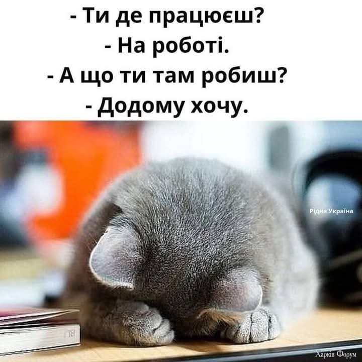 IMG-3e2ed0cdab001a9d1f65517a477c01c0-V.jpg