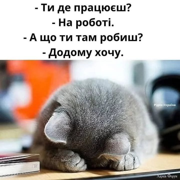 IMG-3e2ed0cdab001a9d1f65517a477c01c0-V.jpg