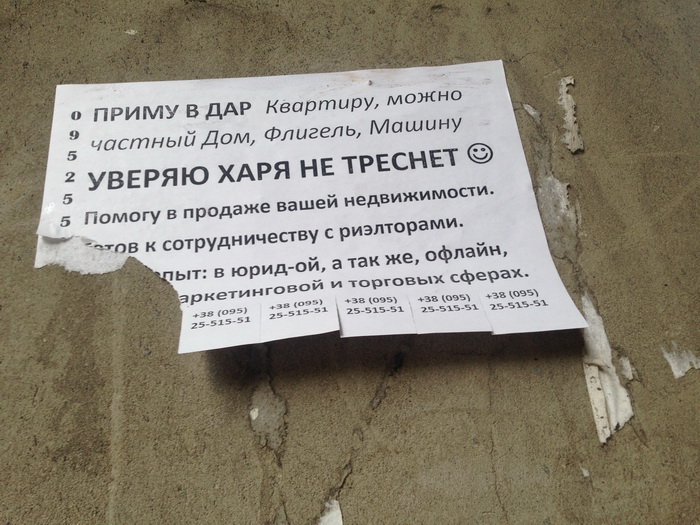 IMG-4177.jpg