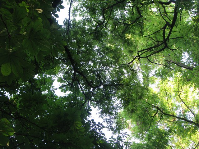 IMG-4324.jpg