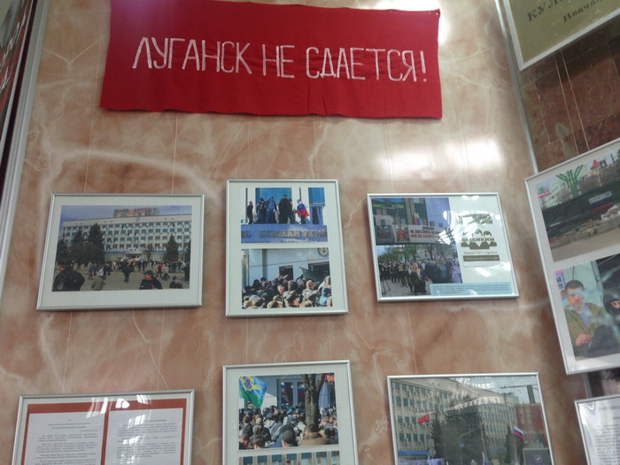 IMG-4564.jpg
