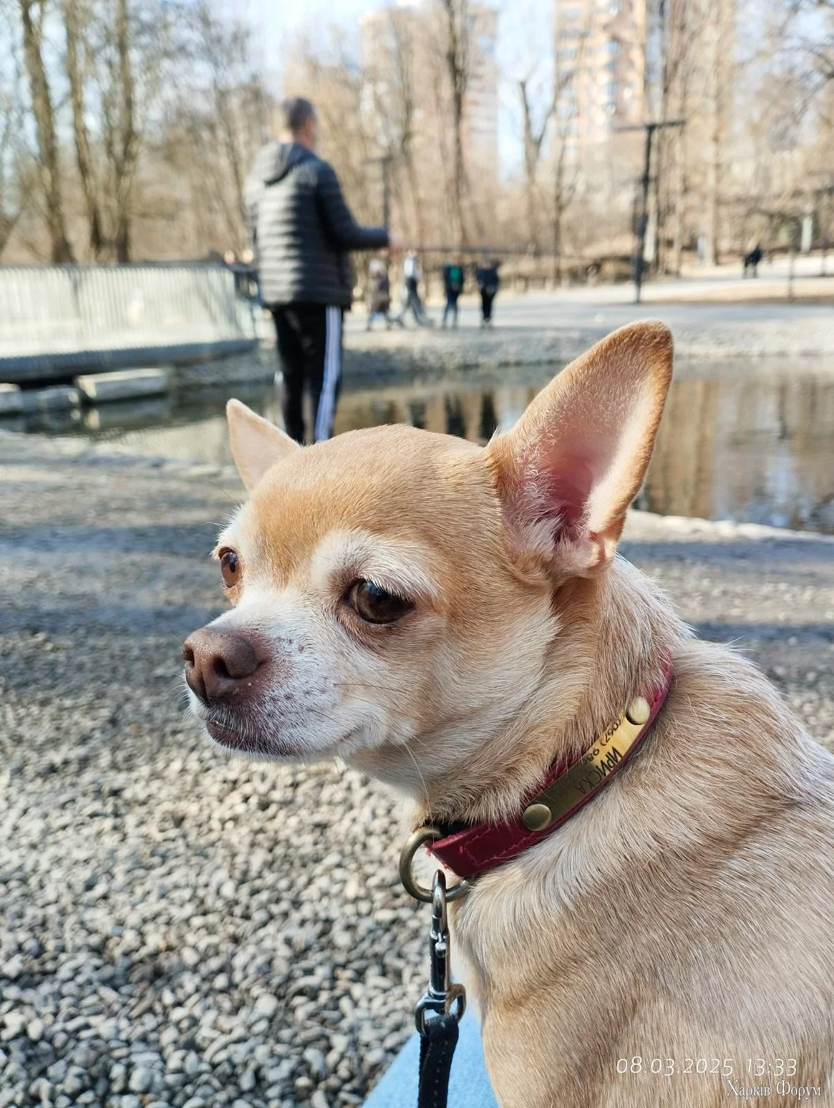 IMG-45c8a561a33b68926d9e644f104ab724-V.webp