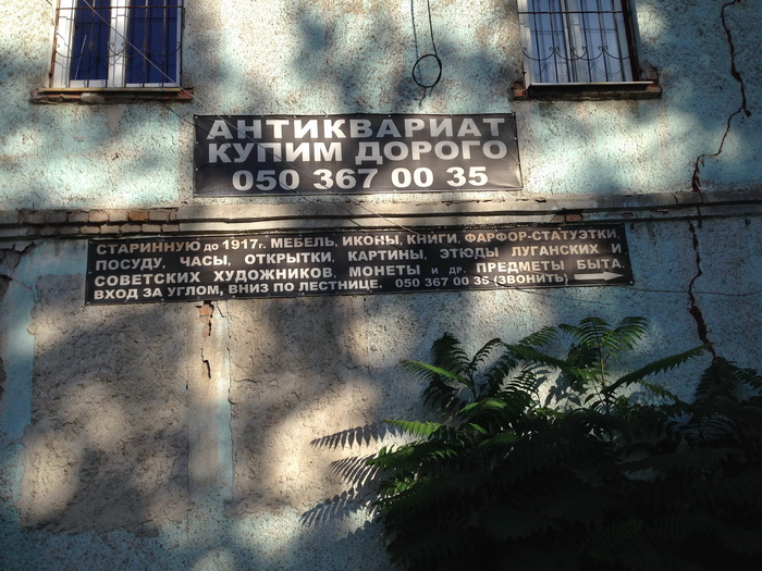 IMG-4720.jpg